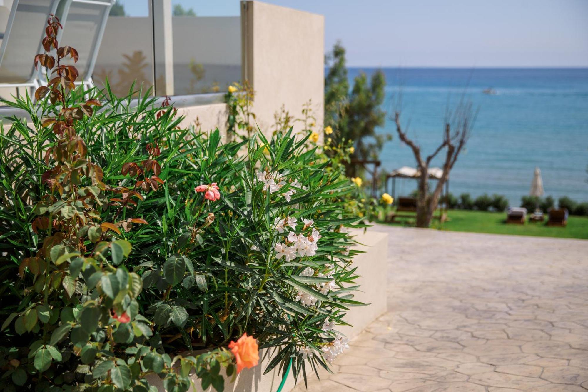 Villa Angelina Alykes (Zakynthos) Exterior foto